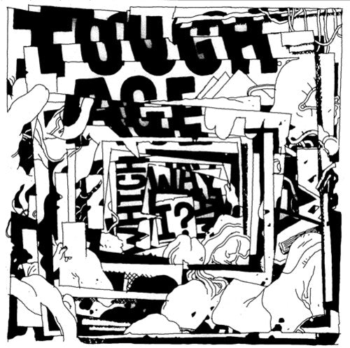 Tough Age Which Way Am I? - Record Album - Vinyl LP
