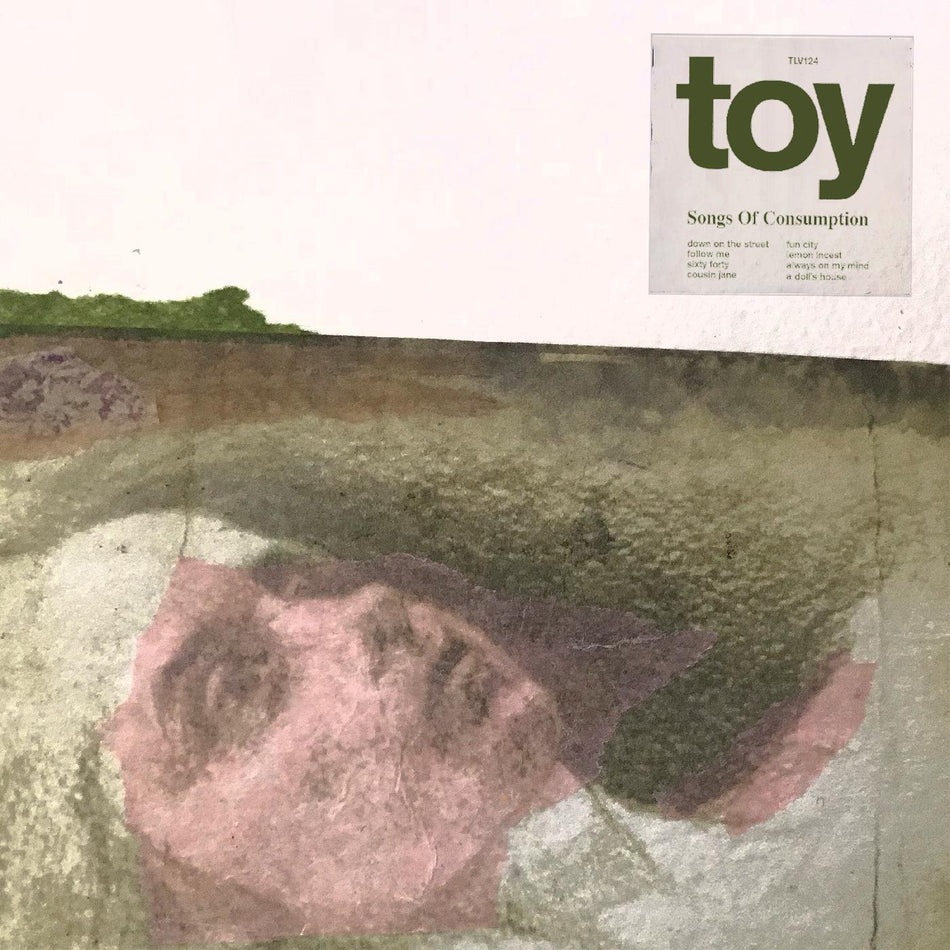 Toy Songs Of Consumption