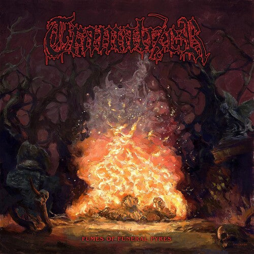 Tramalizer FUMES OF FUNERAL PYRES - Record Album - Vinyl LP
