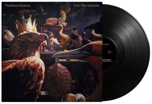 TRASHCAN SINATRAS Ever the Optimist - Record Album - Vinyl LP