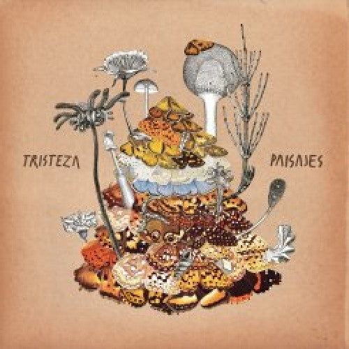 Tristeza Paisajes - Record Album - Vinyl LP