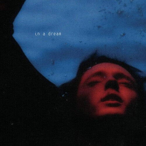 Troye Sivan In A Dream - Record Album - Vinyl LP