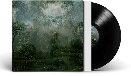 Twice a Man The Coloured Breeze Is a New Dimension - Record Album - Vinyl LP