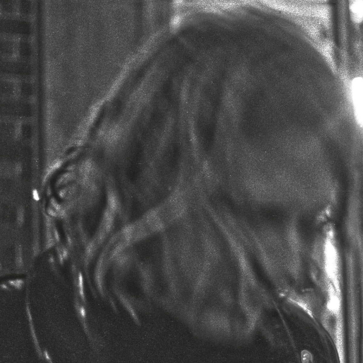 Ty Segall TY SEGALL