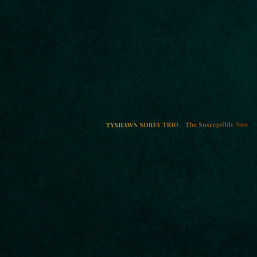 Tyshawn Sorey Trio The Susceptible Now - Double Record Album - Vinyl LP