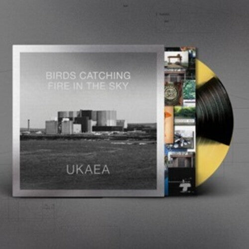 Ukaea Birds Catching Fire In The Sky - Record Album - Vinyl LP
