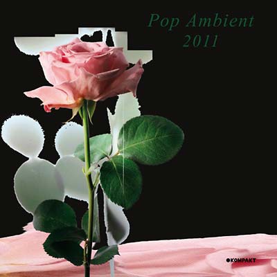 Va Pop Ambient 2011