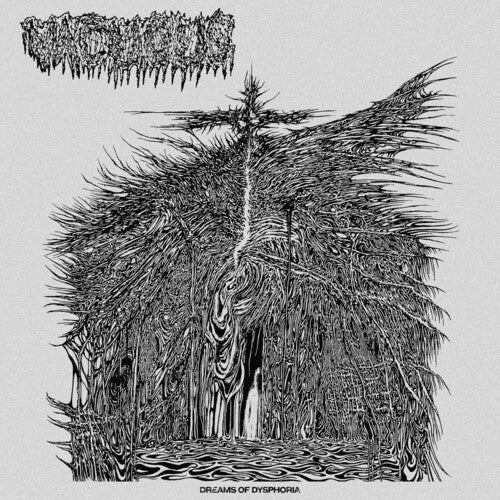 Vacuous Dreams Of Dysphoria - Record Album - Vinyl LP