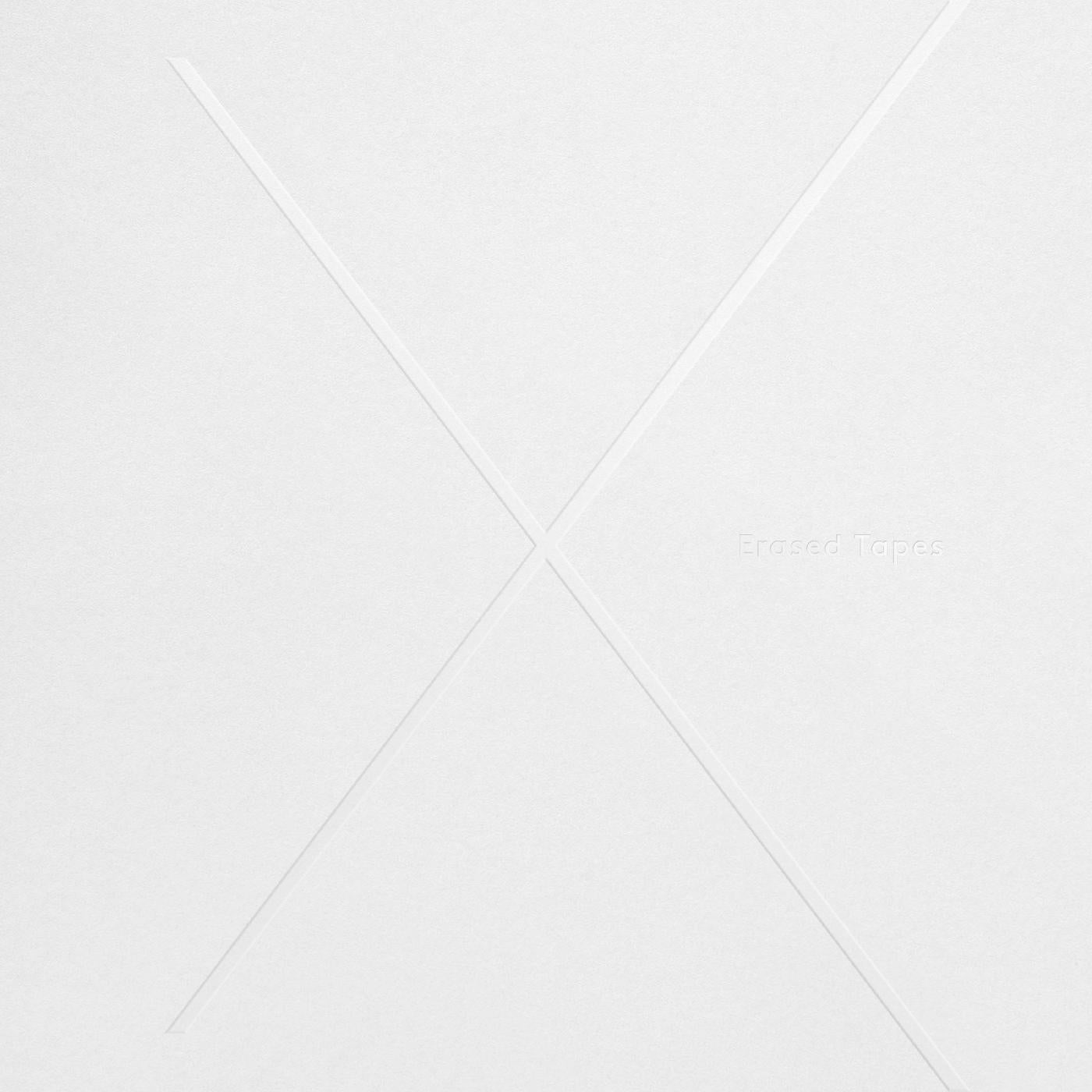 Various Artists 1+1=X