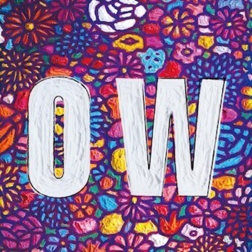 Various Artists 30th Anthology Vol.2 (OW) - Record Album - Vinyl LP