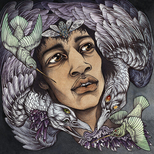 Various Artists Best of James Marshall Hendrix (Redux) - Record Album - Vinyl LP
