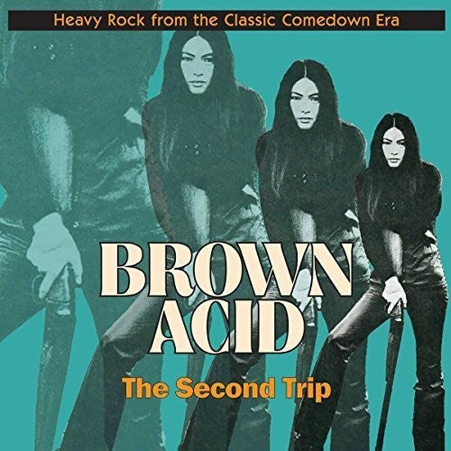 Various Artists Brown Acid: Second Trip (Various Artists) - Record Album - Vinyl LP