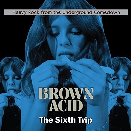 Various Artists Brown Acid - The Sixth Trip (Various Artists) - CD Album