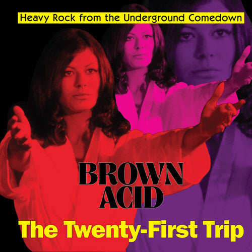 Various Artists Brown Acid - The Twenty-first Trip (Various Artists) - Record Album - Vinyl LP