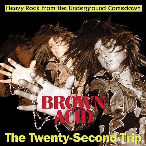 Various Artists Brown Acid - The Twenty-Second Trip (Various Artists) - Record Album - Vinyl LP