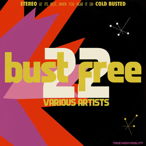 Various Artists Bust Free 22 (Various Artists) - Record Album - Vinyl LP