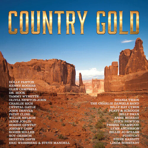 Various Artists Country Gold / Various - Double Record Album - Vinyl LP