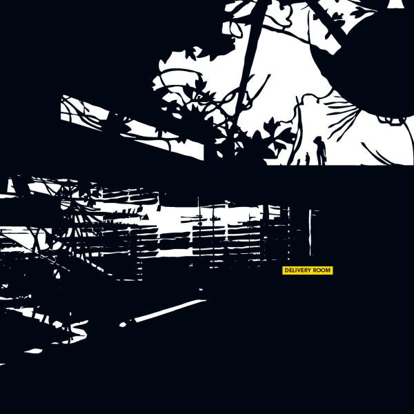 Various Artists Delivery Room
