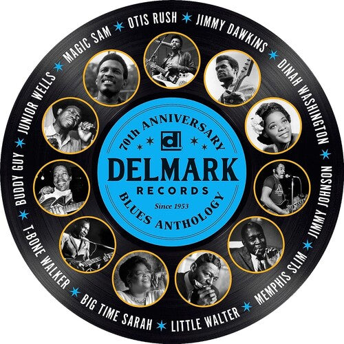 Various Artists Delmark 70th Anniversary Blues Anthology (Various Artists) - Record Album - Vinyl LP
