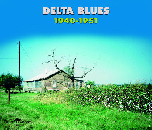 Various Artists Delta Blues 1940-51 - CD Album