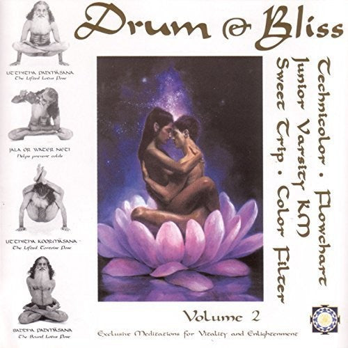Various Artists Drum & Bliss 2 (Various Artists) - Double Record Album - Vinyl LP