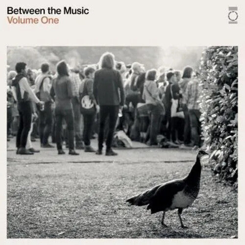 Various Artists End Of The Road Presents: Between The Music / Various - Double Record Album - Vinyl LP