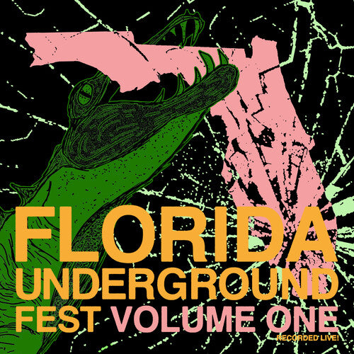 Various Artists Florida Underground Fest 1 (Various Artists) - Record Album - Vinyl LP