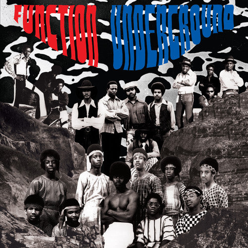 Various Artists Function Underground: Black & Brown American / Var - Record Album - Vinyl LP