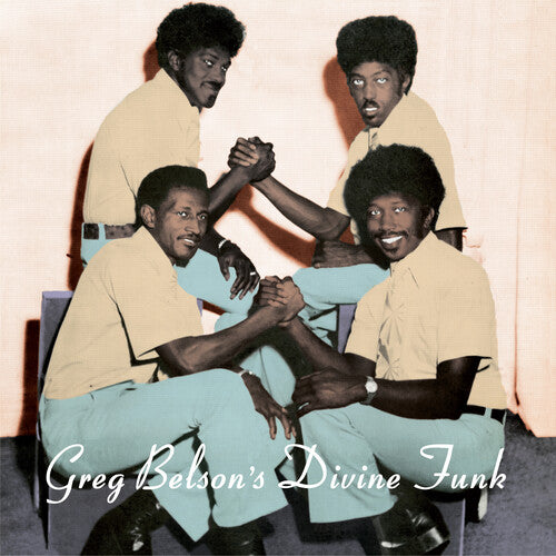 Various Artists Greg Belson's Divine Funk (Various Artists) - Record Album - Vinyl LP