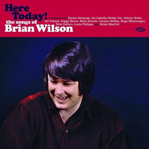 Various Artists Here Today! Songs Of Brian Wilson / Various - Record Album - Vinyl LP