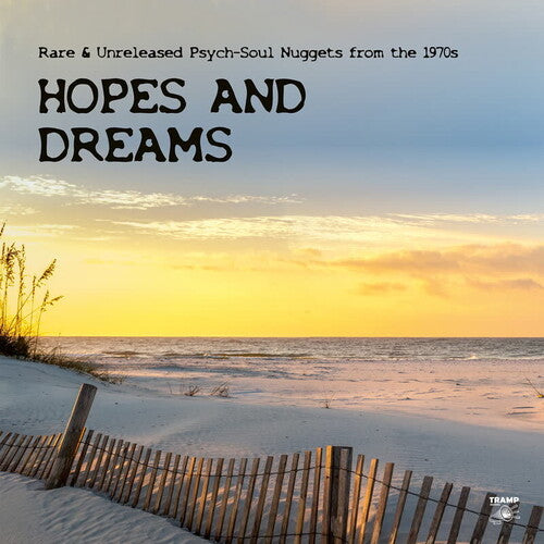 Various Artists Hopes And Dreams: Rare & Unreleased Psych-Soul Nuggets from the 1970s - Double Record Album - Vinyl LP
