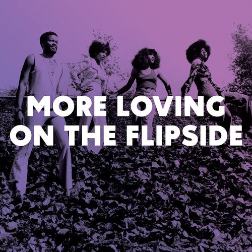 Various Artists More Loving On The Flipside: Sweet Funk & Beat-Heavy Ballads 1968-1975 (Various Artists) - Record Album - Vinyl LP