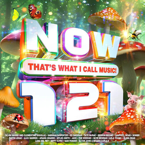 Various Artists Now That's What I Call Music 121 - 2-Disc CD Album