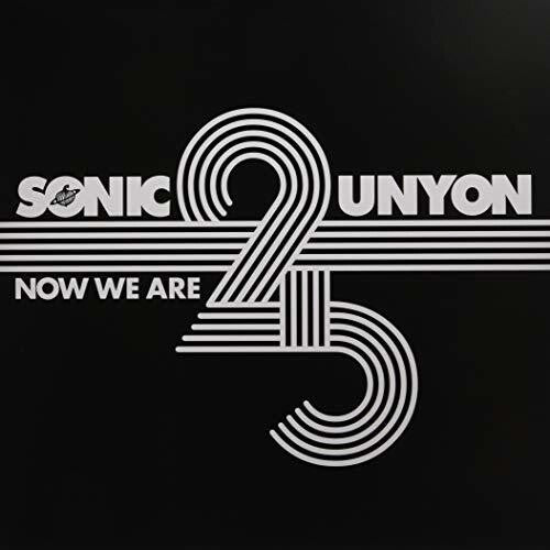 Various Artists Now We Are 25 / Various - Record Album - Vinyl LP