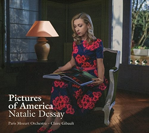 Various Artists Pictures Of America (Various Artists) - CD Album