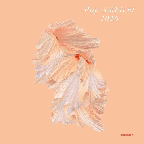 Various Artists Pop Ambient 2026 - Record Album - Vinyl LP