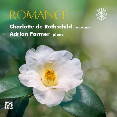 Various Artists Romance - CD Album