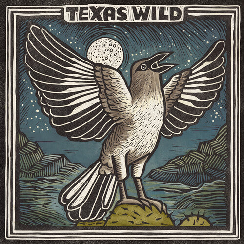 Various Artists Texas Wild (Various Artists) - Record Album - Vinyl LP
