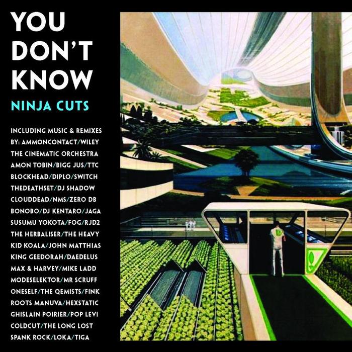 Various Artists You Don't Know: Ninja Cuts