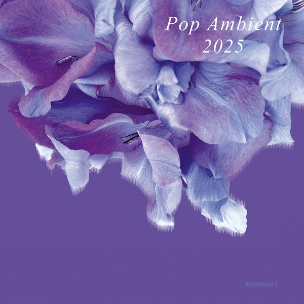 Various Atrists Pop Ambient 2025
