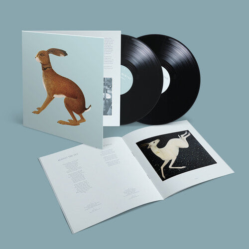 Vashti Bunyan Lookaftering - Expanded - Double Record Album - Vinyl LP