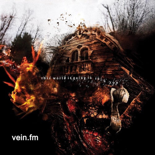 Vein.Fm This World Is Going to Ruin You - Record Album - Vinyl LP