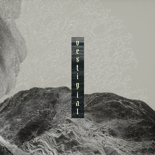 Vestigial Descending Vastness - CD Album