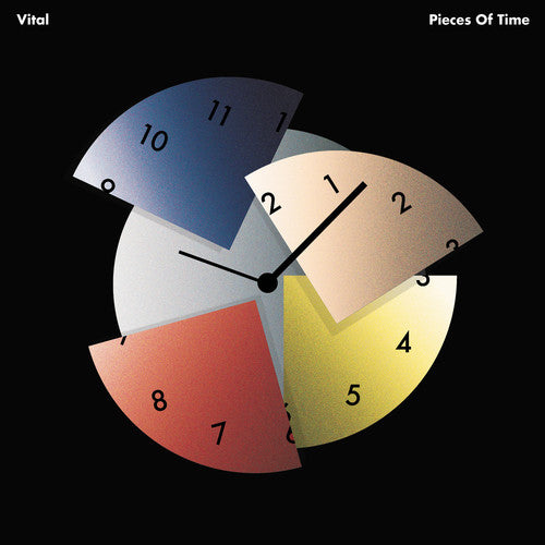 Vital Pieces Of Time - Record Album - Vinyl LP