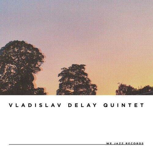 Vladislav Delay Quintet vd5 - Record Album - Vinyl LP