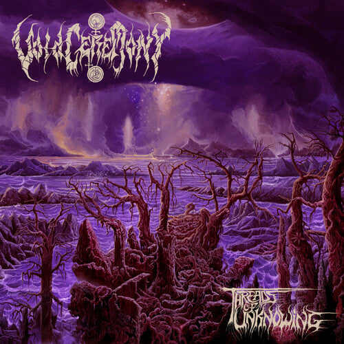 Voidceremony Threads Of Unknowing - Record Album - Vinyl LP