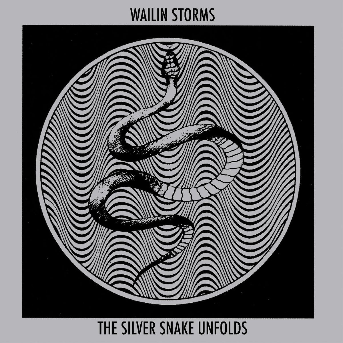 Wailin Storms The Silver Snake Unfolds