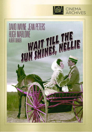 Wait Till the Sun Shines, Nellie - DVD