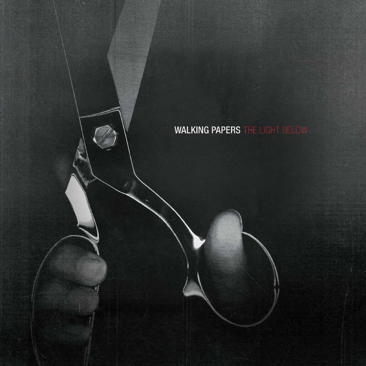 Walking Papers The Light Below
