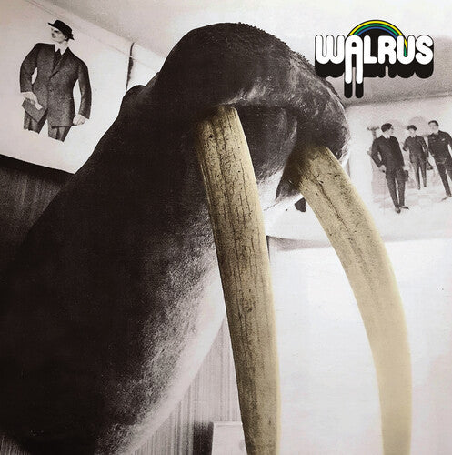 Walrus Walrus - CD Album